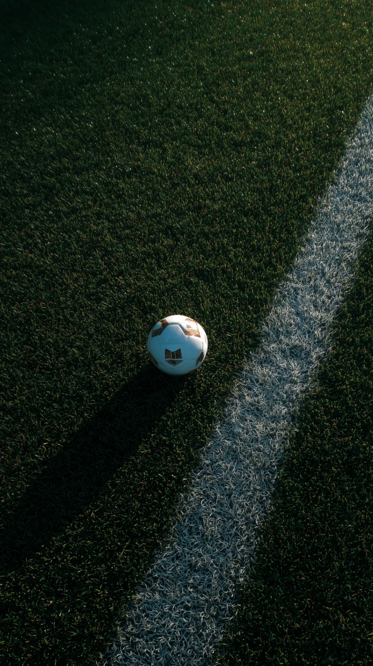 Sportprognosen